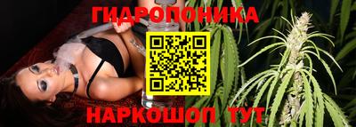 прущие грибы Будённовск