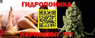 прущие грибы Будённовск