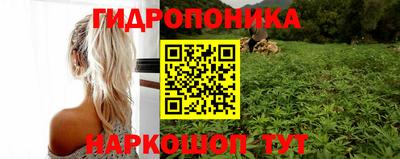 эйфоретик Бузулук